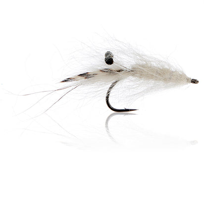 Honey Shrimp original #6