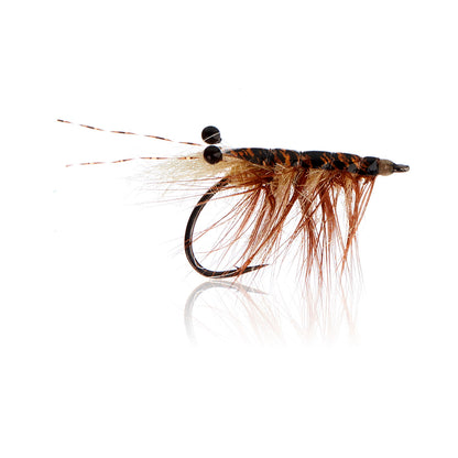 Honey Shrimp original #6