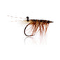 Honey Shrimp original #6