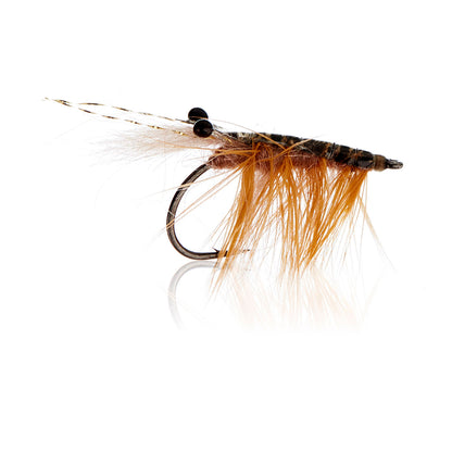 Honey Shrimp original #6