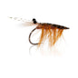 Honey Shrimp original #6