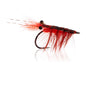 Honey Shrimp original #6