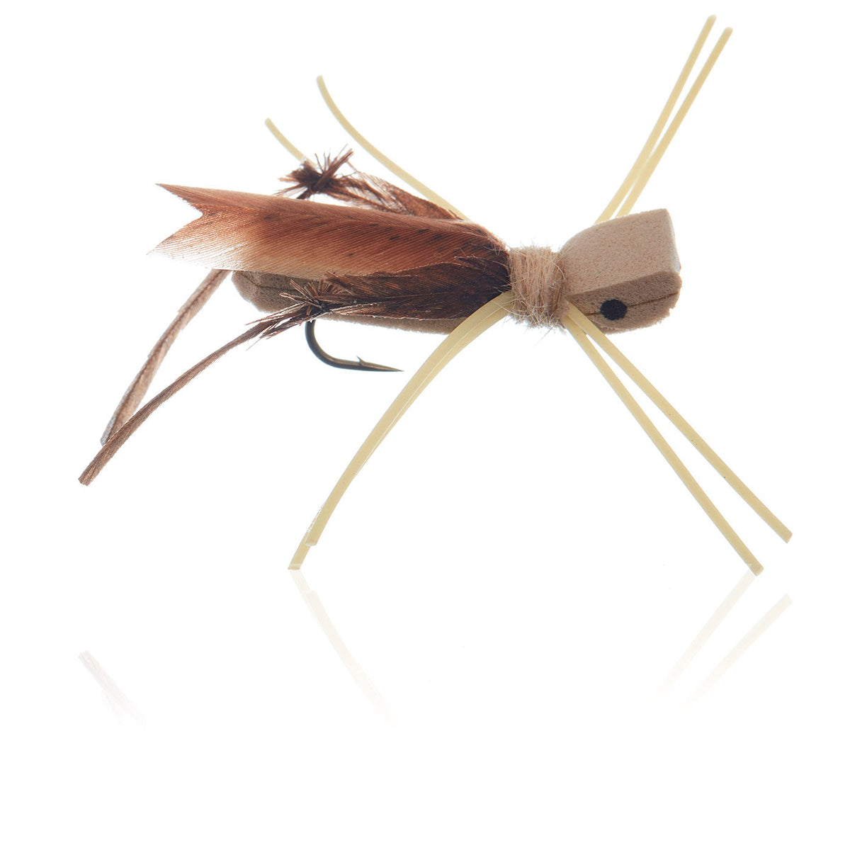 AJF_300202.jpg