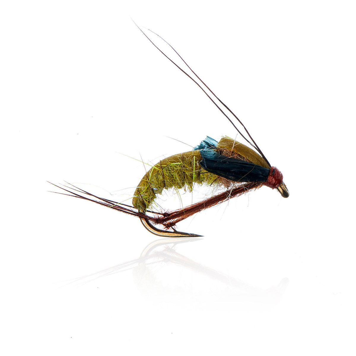 AJF_400110.jpg