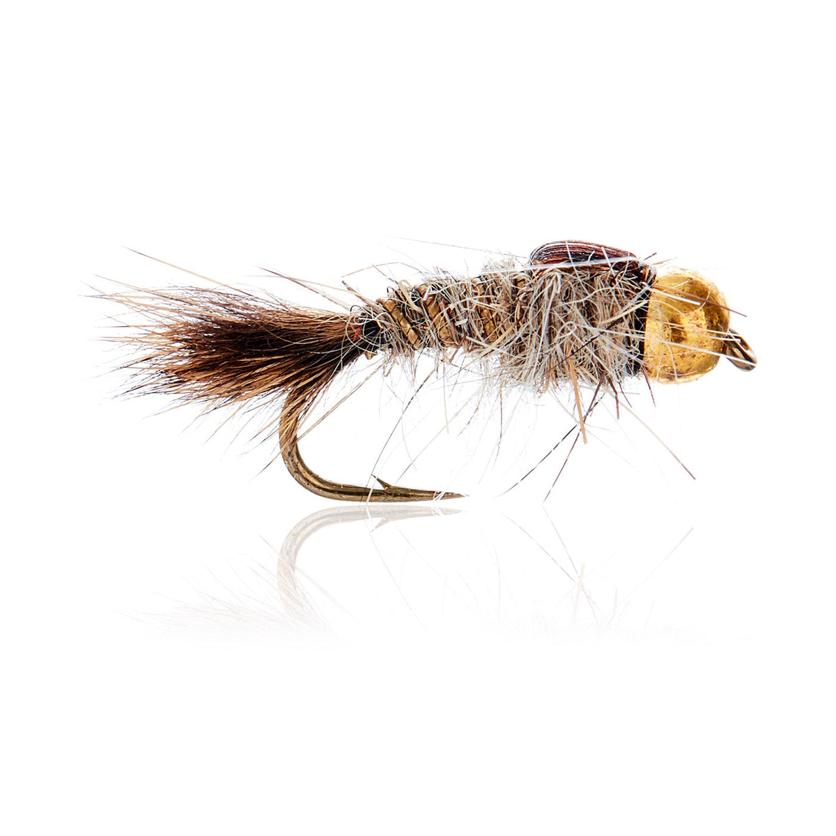 AJF_400219.jpg