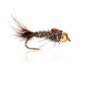 AJF_400304.jpg