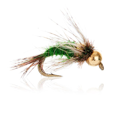 AJF_400317.jpg