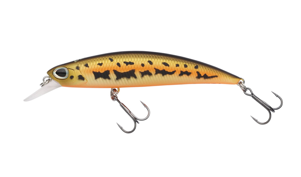 Berkley DEX Bullet Jerk TSR â€“ BerkleyDEXBulletJerk8_1572698.jpg
