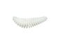Berkley PowerBait® Power® Pupa â€“ BerkleyPowerPupa_1594924.jpg