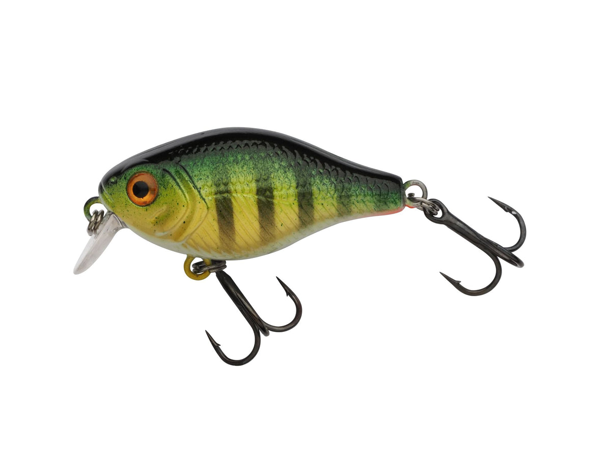 Berkley Pulse Fry Shallow â€“ BerkleyPulseFryShallow_1571660.jpg