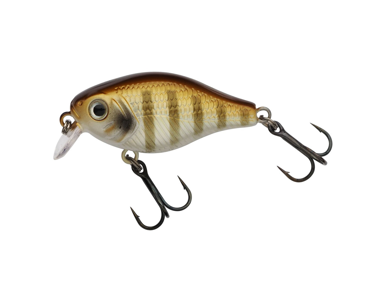 Berkley Pulse Fry Shallow â€“ BerkleyPulseFryShallow_1571661.jpg