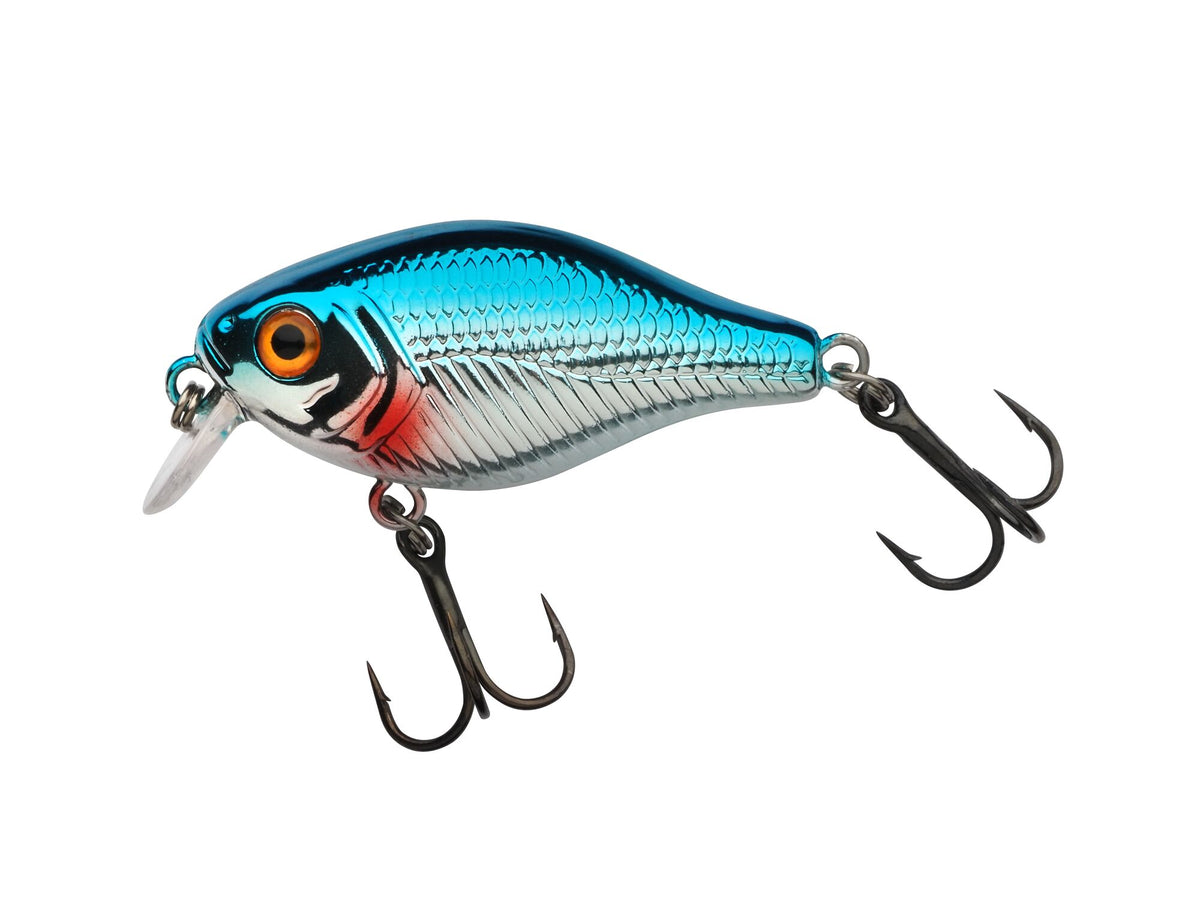 Berkley Pulse Fry Shallow â€“ BerkleyPulseFryShallow_1571663.jpg
