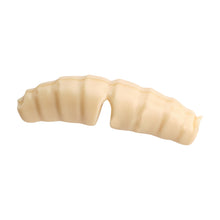 Berkley PowerBait® Action Waxies â€“ Berkley_PowerBaitActionWaxies_NaturalWhite_alt1.jpg