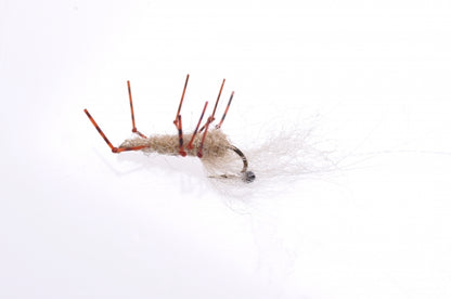 Honey Shrimp original #6