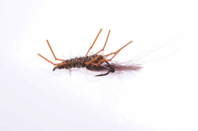 Honey Shrimp original #6