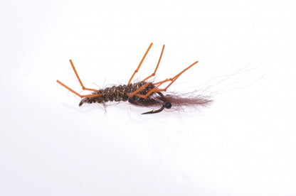 Honey Shrimp original #6