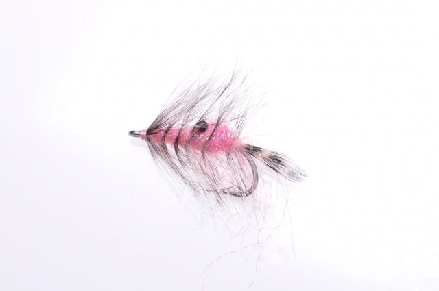 Honey Shrimp original #6