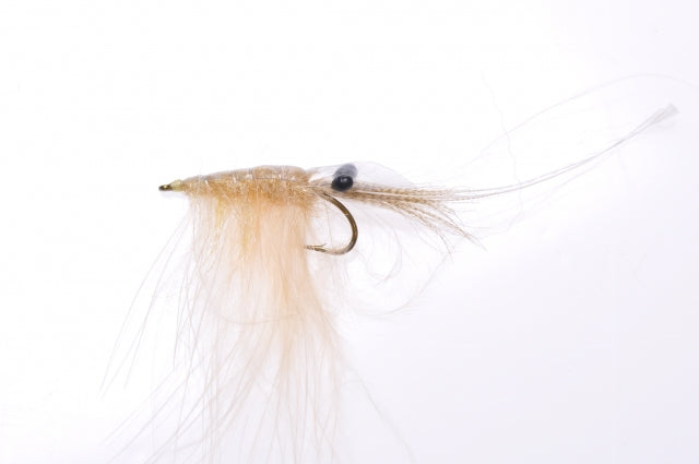 Honey Shrimp original #6