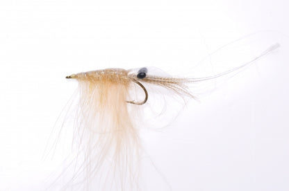 Honey Shrimp original #6
