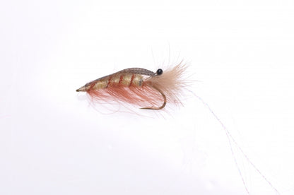 Honey Shrimp original #6