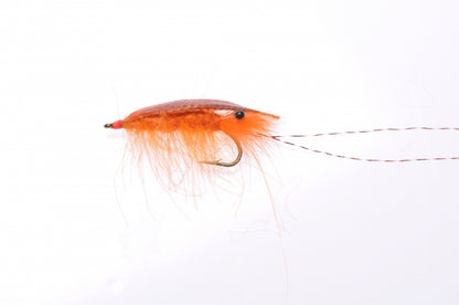 Honey Shrimp original #6