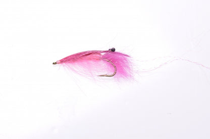 Honey Shrimp original #6