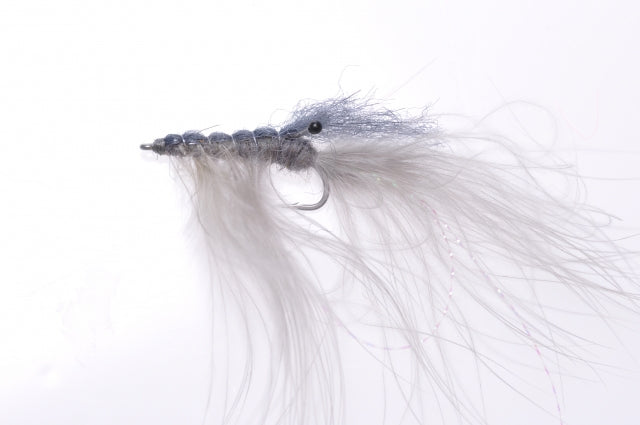 Honey Shrimp original #6