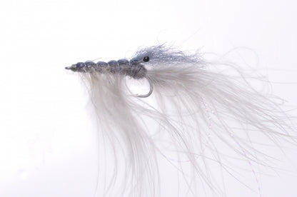 Honey Shrimp original #6