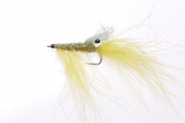 Honey Shrimp original #6