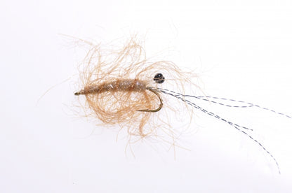 Honey Shrimp original #6