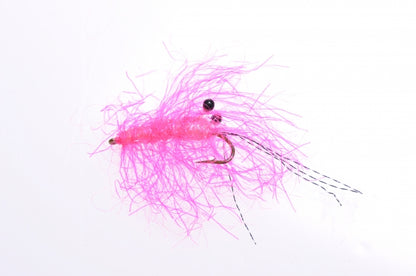 Honey Shrimp original #6
