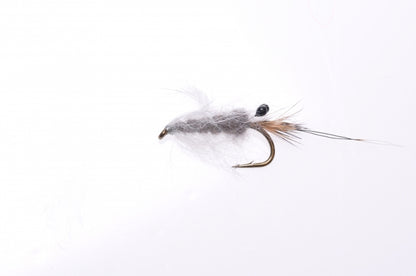 Honey Shrimp original #6