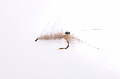 Honey Shrimp original #6