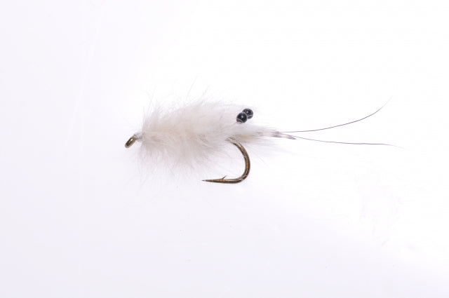 Honey Shrimp original #6