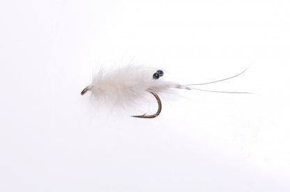 Honey Shrimp original #6