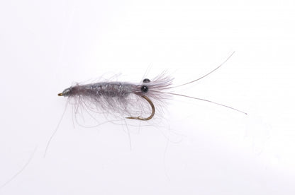 Honey Shrimp original #6