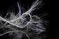 FB-660291_1of1.jpg