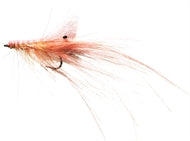 Honey Shrimp original #6