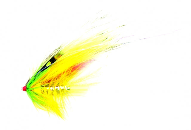 Wannabee Green med Conehead - Rørflue