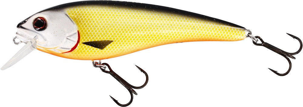 Westin Rawbite 15cm 61g