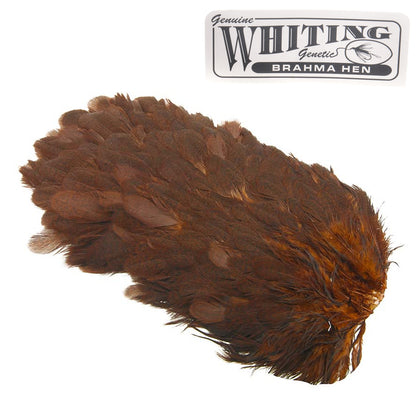 Whiting Brahma Hen Saddle