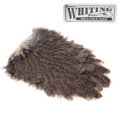 Whiting Brahma Hen Saddle