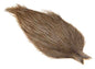 Whiting Coq de Leon Cape Hane - Light Pardo