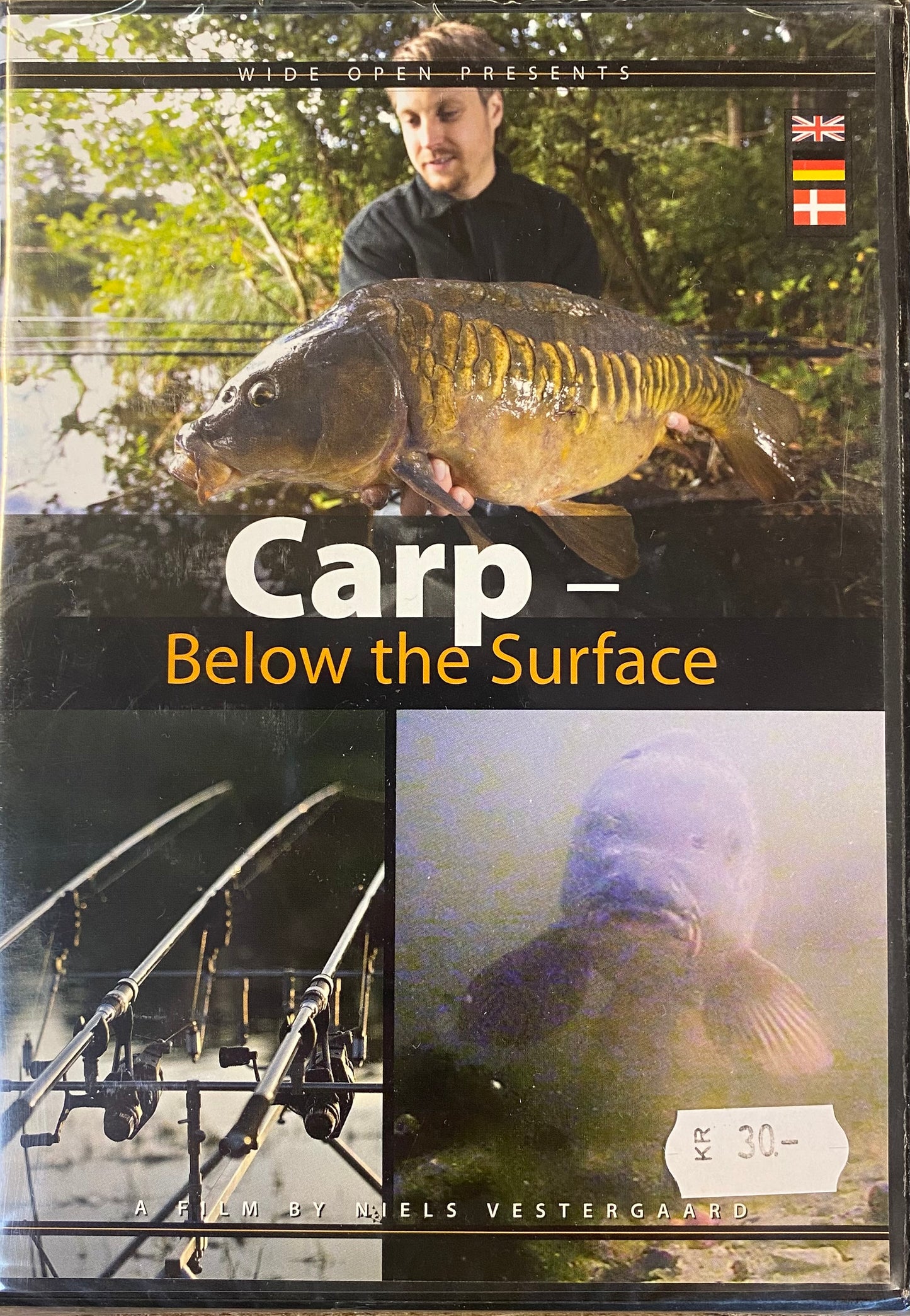 DVD film Carp below the surface