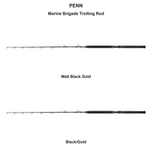 Farveoversigt – PENN Marine Brigade Trolling Rod