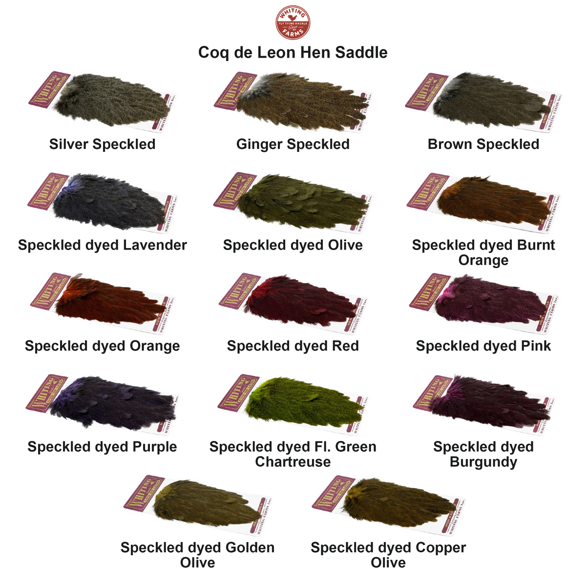 Farveoversigt – Whiting Coq de Leon Hen Saddle