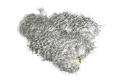 Whiting Spey SH/C â€“ dealerweb-cms-0490050b-e9a9-4307-b01c-be752a31e010.jpg