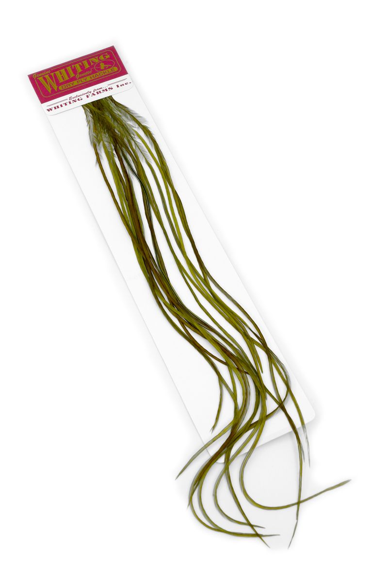 Whiting 100-pk – Size 18 â€“ dealerweb-cms-0f4826c9-21fe-411a-a2a9-4dac7c23319f.jpg