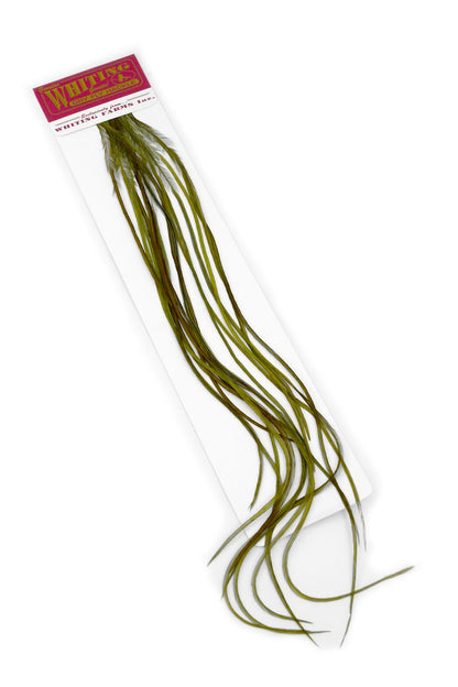 Whiting 100-pk – Size 16 â€“ dealerweb-cms-0f4826c9-21fe-411a-a2a9-4dac7c23319f.jpg
