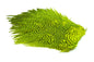 Whiting 4 B's Rooster Saddle â€“ dealerweb-cms-12fab62d-9a3f-423a-a2ad-37014c476632.jpg